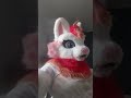 The Cat's Meow, sung in fursuit