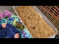 Stop Buying Puppy Pads! Build a Low-Maintenance Puppy Pen (4-Week Old Puppies)