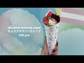 Tokyo vlog/Sanrio Puroland/theme park/thrift shop/Roppongi/Japanese food/ramen/cafe/koinobori
