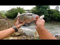 LUAR BIASA ‼️ Tarikan Hampala Monster Sungai Arus Deras || Garnis Pancing #129