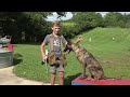 Teaching My Son To Train Protection Dogs Episode 1 | Malinois & Dutch Shepherd