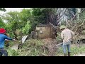 Horrifying House With Giant Tree Roots That Pierce Walls | Clean Up Abandoned House Covered in Trees