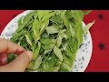 Curry leaves green tea | How to cure sugar & bad cholesterol | weight loss Remedy |کڑی پتہ کے فوائد