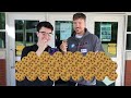 Giving Away 50,000 Cookies!