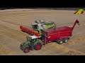 Getreideernte 2020 - Claas Lexion 770 & 780 im Großeinsatz - Lebensmittel aus der Landwirtschaft