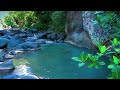 Relaxing River Sound Calming Water Stress Relief, Sleep, Study, Yoga Meditation