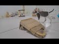 😹 So Funny! Funniest Cats and Dogs 2024 😂 Best Funny Video Compilation 🙀