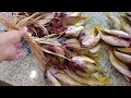 FISH MARKET: Where fish prices are in bundles NOT PER KILO!
