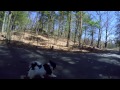 Running with the Beans  (GoPro Hero4 & Glidecam iGlide)