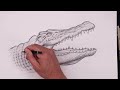 How To Draw Crocodile | YouTube Studio Sketch Tutorial
