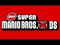 New Super Mario Bros.  ̶W̶i̶i̶ DS  - Soundtrack