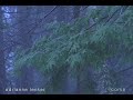 adrianne lenker - come (official audio)