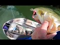 FLY FISHING for BIG AGGRESSIVE BASS | EPIC ACTION