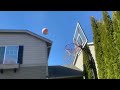 Attempting a basketball trick shot, you won’t predict what happened next!