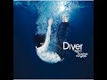 Diver