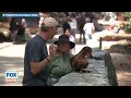 Record Snowpack Releases 239 Billion Gallons of Water Around Yosemite, Rare Spring Closure