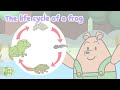 Life Cycle of a Frog | Science for Kids | Educational Video | #PantsBear