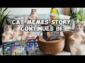 CAT MEMES: LEGOLAND ROADTRIP + EXTRA SCENES