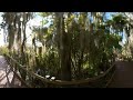 Insta360 video relaxing boardwalk path to Lake Apopka at Oakland Nature Preserve.