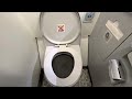 Hawaiian Airlines Airbus A330 Restroom Toilet Flush | Desensitization Training in Airplane Bathroom