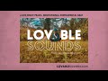 «LATE NIGHT PEACE» Meditational Instrumental LoFi Chillhop Beat by LovableSounds.com