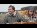 A Limping Bull Gets a Check Up | Dr. Oakley, Yukon Vet