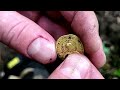 Top 10 Finds * The Best 2023 Treasures * Discovered by Metal Detectorists