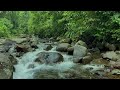 7 HRS Relaxing waterfall nature sounds for calming sleeping river water | 4K | ASMR