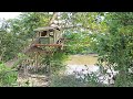 Camping in the forest - make a house in the trees next to the river