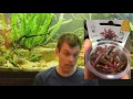 EASY Aquarium Plants - Red Plants For Fish Tanks