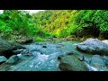 relaxing nature sound,water sound 2 hours-gentle and stream#1
