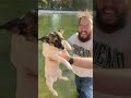 Owner Retrieves Stuck Dog Gone for Swim in Lake - 1495099