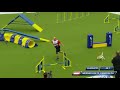 AWC 2018 Medium Individual Agility