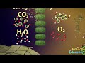 How Do Trees Extract CO2?