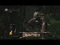 The Dark Souls Remastered experience Featurin RedDemonGaming