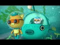 Octonauts - Microscopic Creatures 🔍 | 30 Mins+ | Cartoons for Kids | Underwater Sea Education