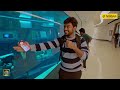 Underwater-ல ஒரு உலகத்தையே  உருவாக்கிருக்காங்க 🌎 | Deep Dive Dubai |Dubai Series 😍|Fun Panrom Vlogs