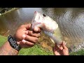 Fishing for HUNGRY Bass in SMALL Pond (New Baitcaster Combo!)
