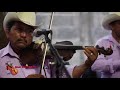 Los Compadres de la Sierra Huapango y polkas en vivo