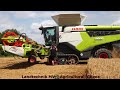 Claas - Fendt - MAN / Getreideernte - Grain Harvest  2024  pt1