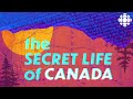 A historical deep dive into Canada's thieves, crooks and liars