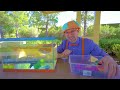 Sink or Float | Blippi Full Episodes | Science Videos for Kids with Blippi | Blippi Toys