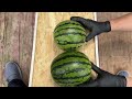Breaking Glass Bottles & Watermelon drop into the Shredder | ASMR