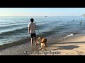 Lake Michigan Circle Tour | Road trip with Dog