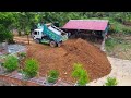 Impressive Activity !! Amazing Skill Mitsubishi D20A Bulldozer Push Soil to delete pond Full 100%.