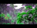 Beautiful Calm and Soothing Rain Sounds ✨ Sleeping, Stress Relief, Yoga and Meditation