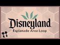 New Esplanade Area Loop - Disneyland