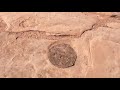 Moenhave Dinosaur Tracks - Scenic HWY 89