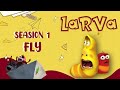 100 MIN Makeup - LARVA Season 2 - Funny Animated Cartoon - Special Video by LARVA.