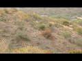9600 S Six Shooter Canyon Globe AZ vacant land for sale build site 3
